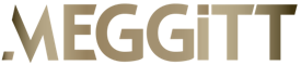 MEGGITT